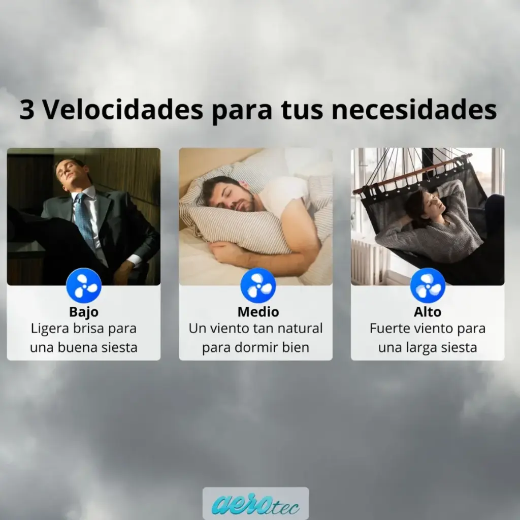 11.webp