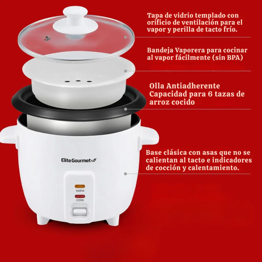 (Español) (2).webp