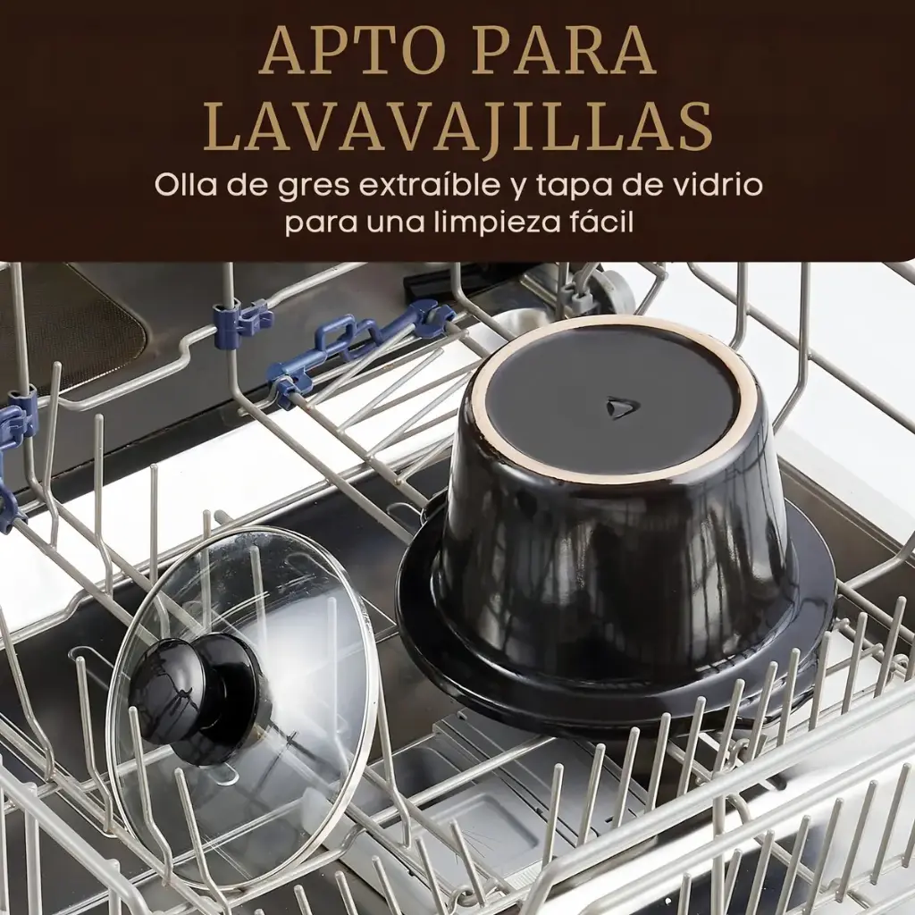 13.webp