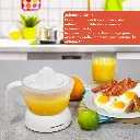 21.webp