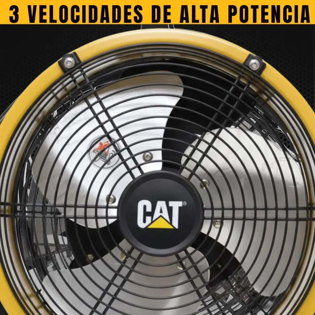 23.webp